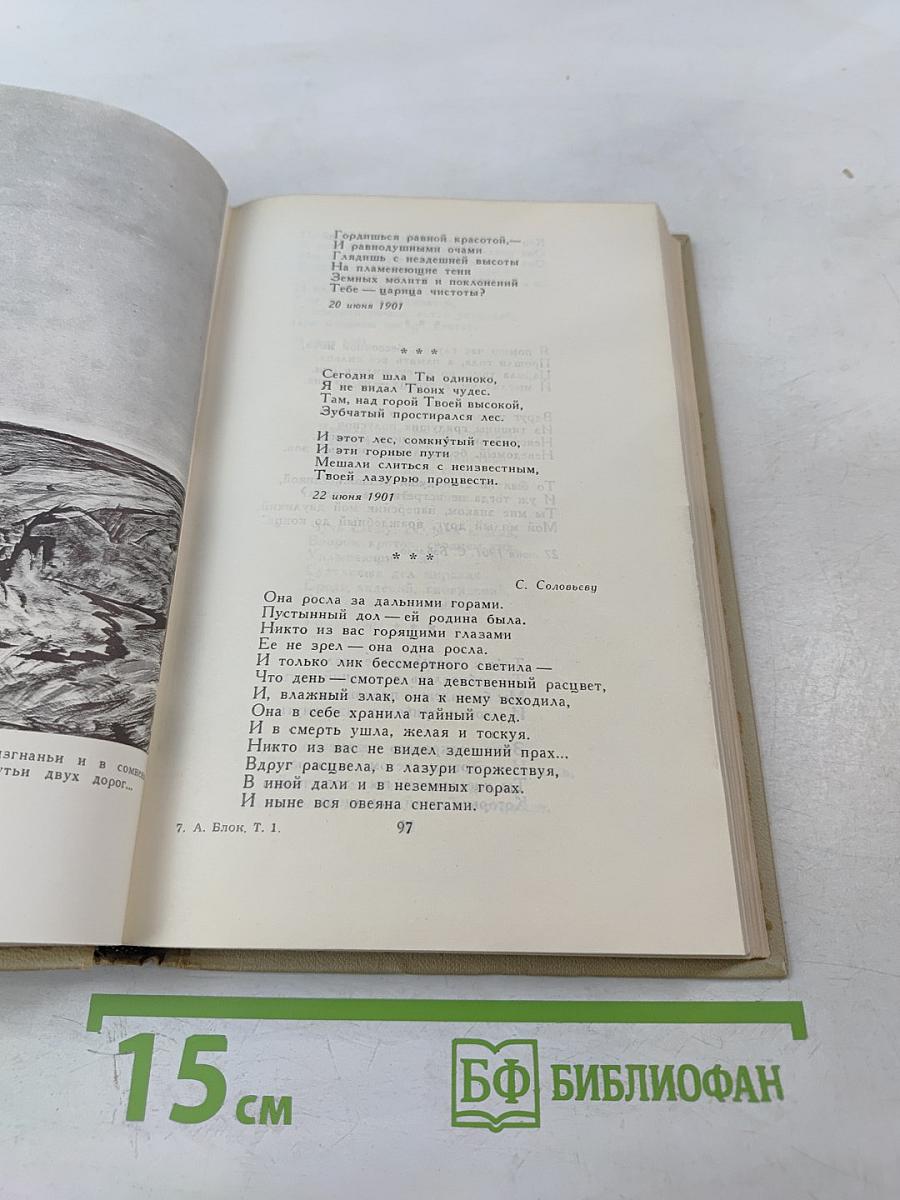 Собрание сочинений в шести томах. Том 1. Александр Блок