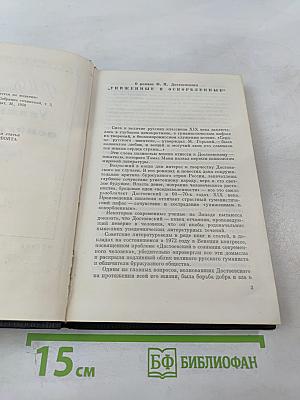 Униженные и оскорбленные