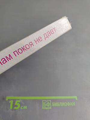 Генерал армии И.Н. Шкадов. А память нам покоя не дает