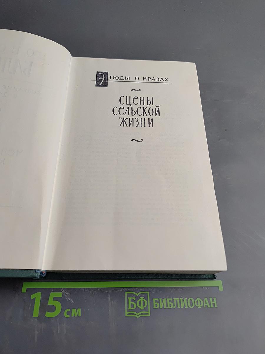 Человеческая комедия. Этюды о нравах. Сцены сельской жизни. Сельский врач. Сельский священник. Том XVIII