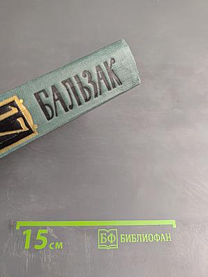 Человеческая комедия. Этюды о нравах. Сцены сельской жизни. Сельский врач. Сельский священник. Том XVIII