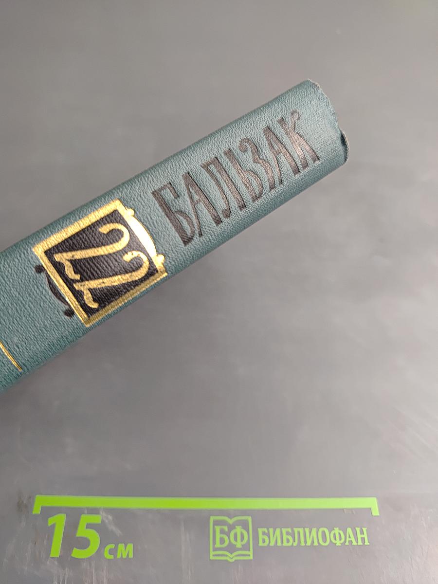 Собрание сочинений в 24 томах. Том 22. Пьесы