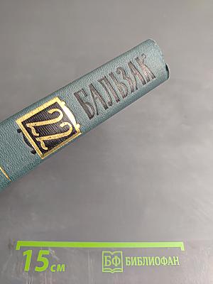 Собрание сочинений в 24 томах. Том 22. Пьесы