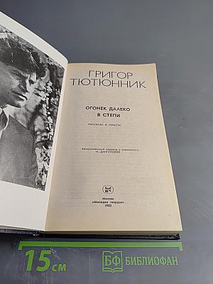 Огонёк далеко в степи