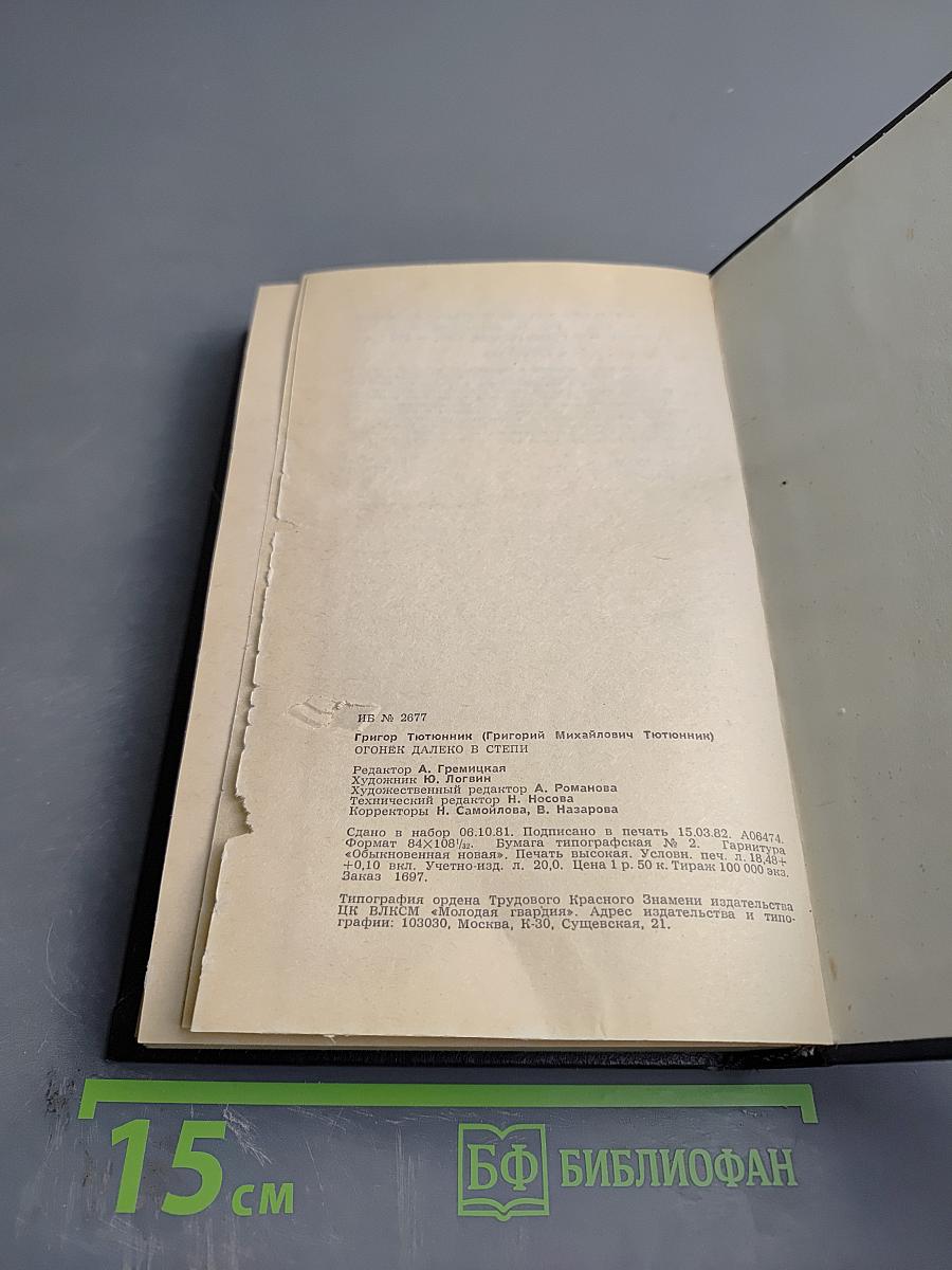 Огонёк далеко в степи