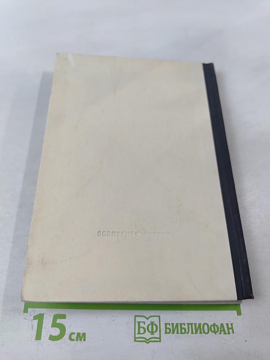 Солнце на земле