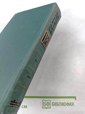 Человеческая комедия. Том 18