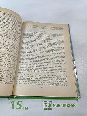 Баня, банька, баенка