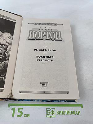 Рыцарь снов. Болотная крепость