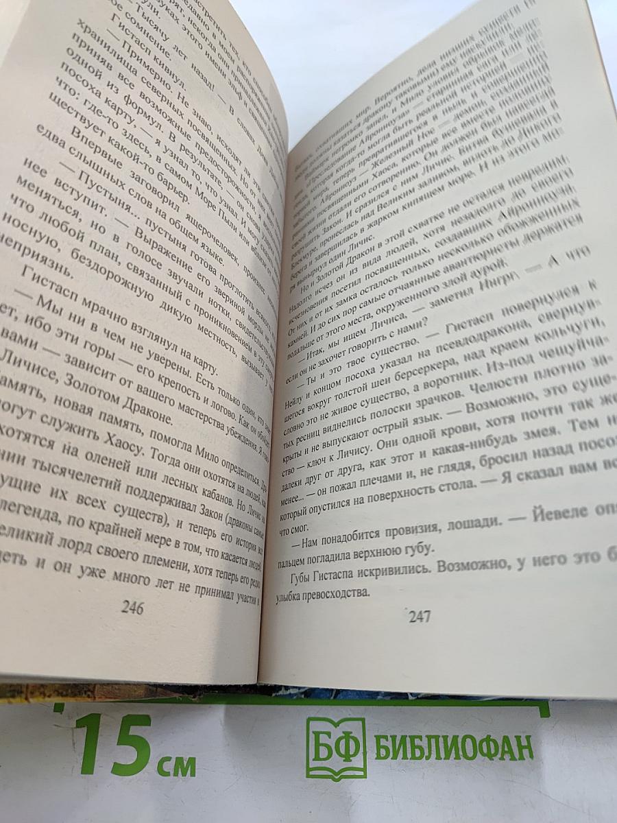 Рыцарь снов. Болотная крепость