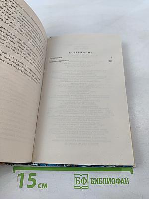 Рыцарь снов. Болотная крепость