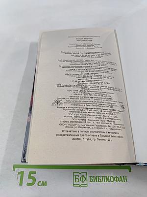 Рыцарь снов. Болотная крепость