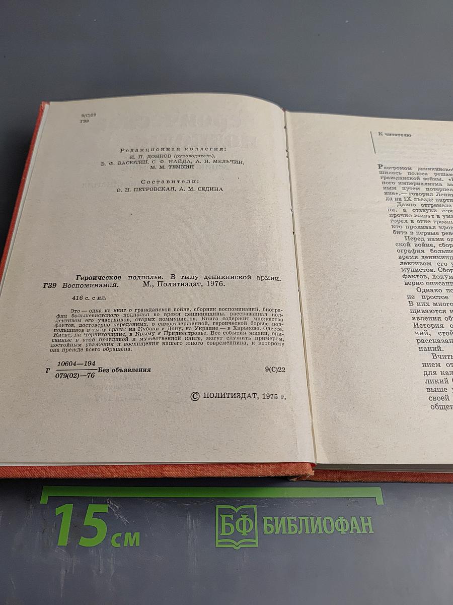 Героическое подполье. В тылу деникинской армии. Воспоминания