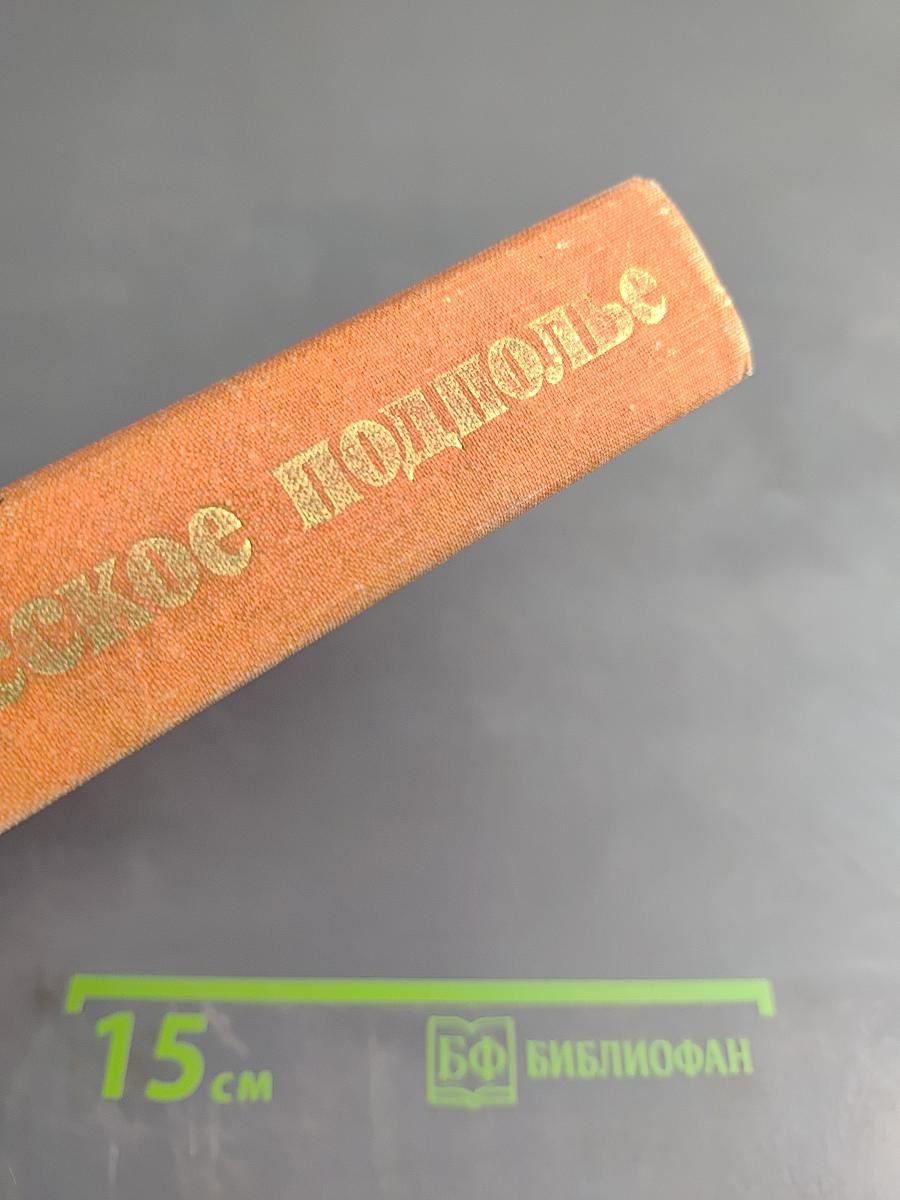 Героическое подполье. В тылу деникинской армии. Воспоминания