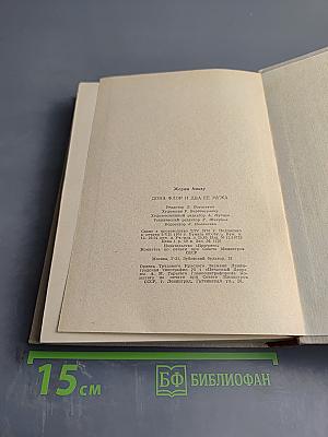 Дона Флор и два ее мужа