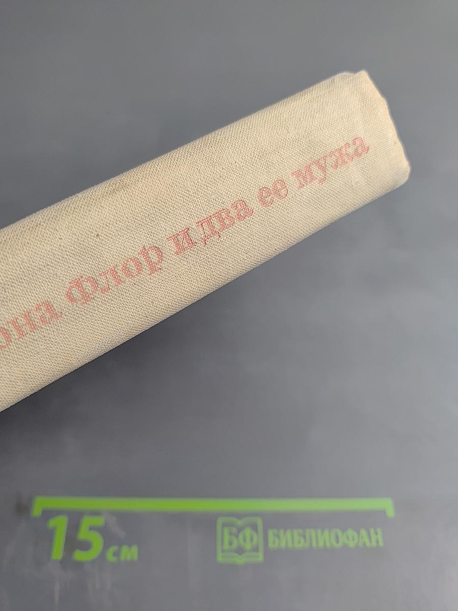 Дона Флор и два ее мужа