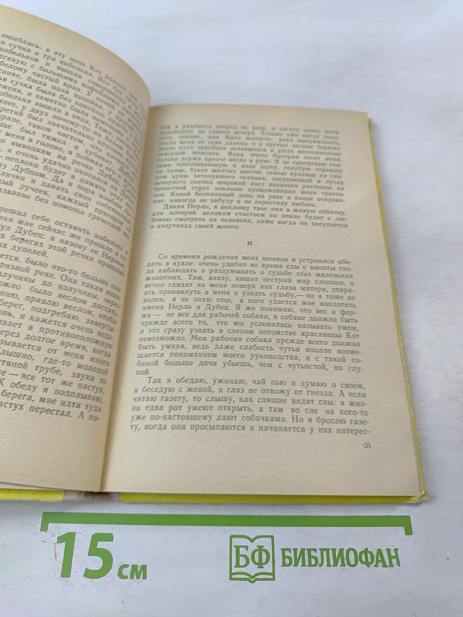 Кладовая солнца