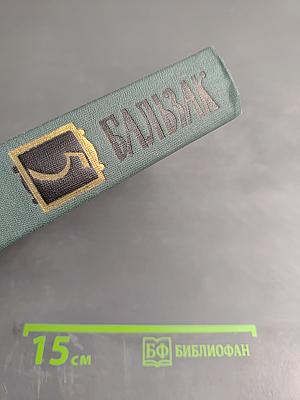 Человеческая комедия. Этюды о нравах. Сцены частной жизни. Том 5