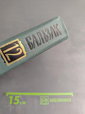 Сцены парижской жизни