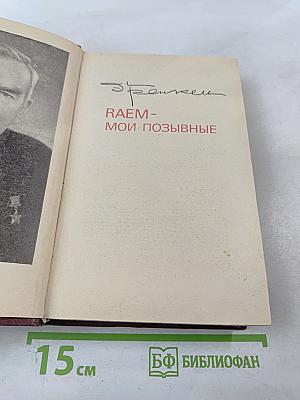 RAEM - Мои позывные