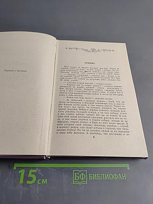 Сказки и истории