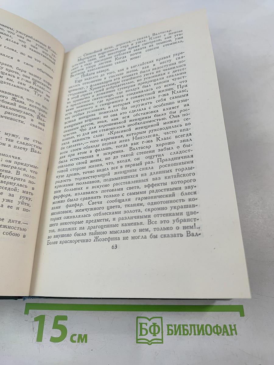 Человеческая комедия. Том 20