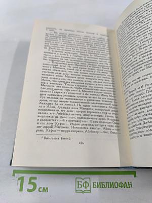 Человеческая комедия. Том 20