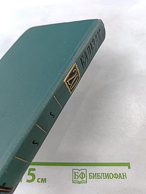 Человеческая комедия. Том 20