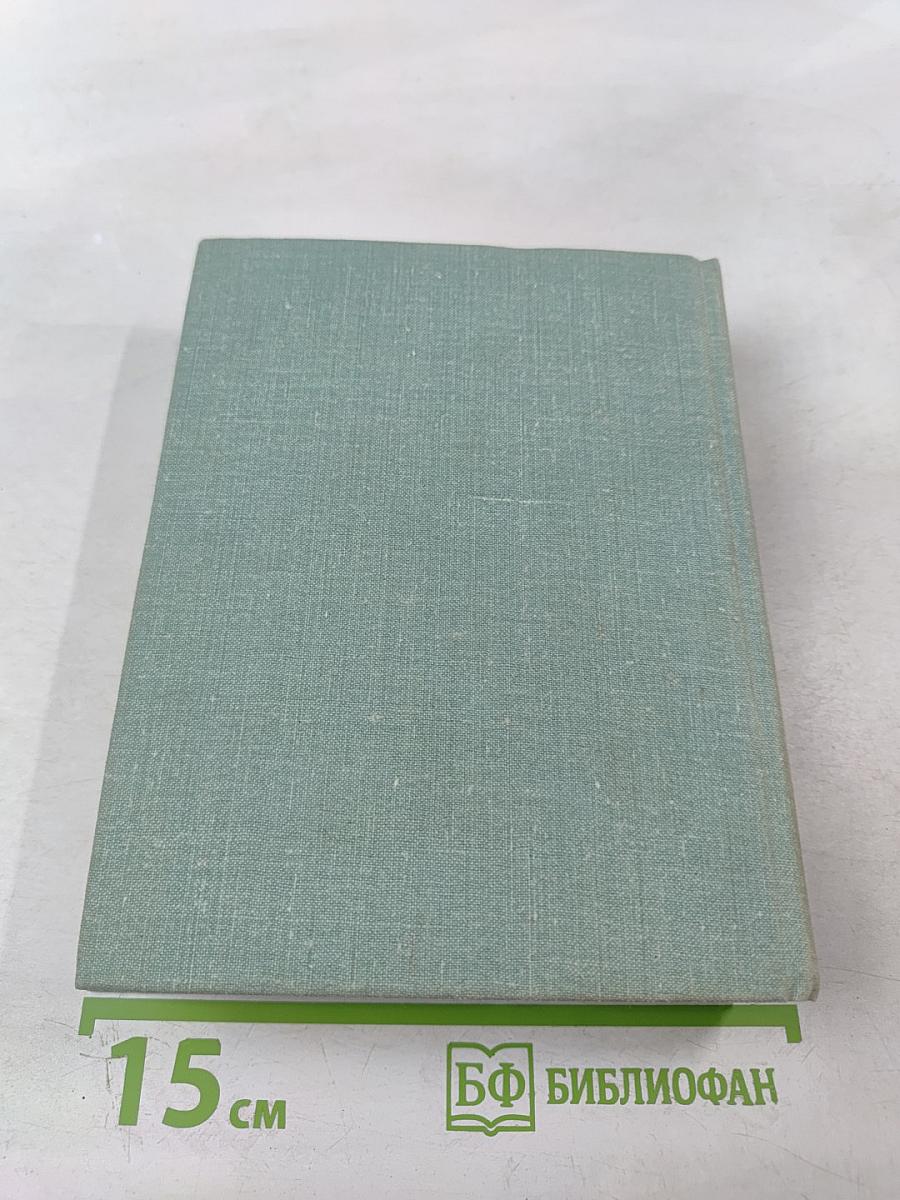 Мы еще встретимся. Небо за стеклами. Странные взрослые