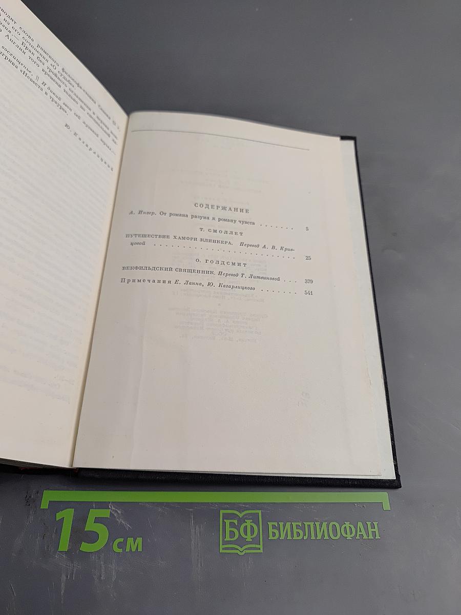 Путешествие Хамфри Клинкера. Векфильдский священник