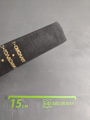 Путешествие Хамфри Клинкера. Векфильдский священник