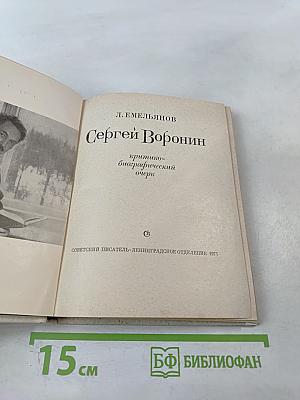 Сергей Воронин: критико-биографический очерк