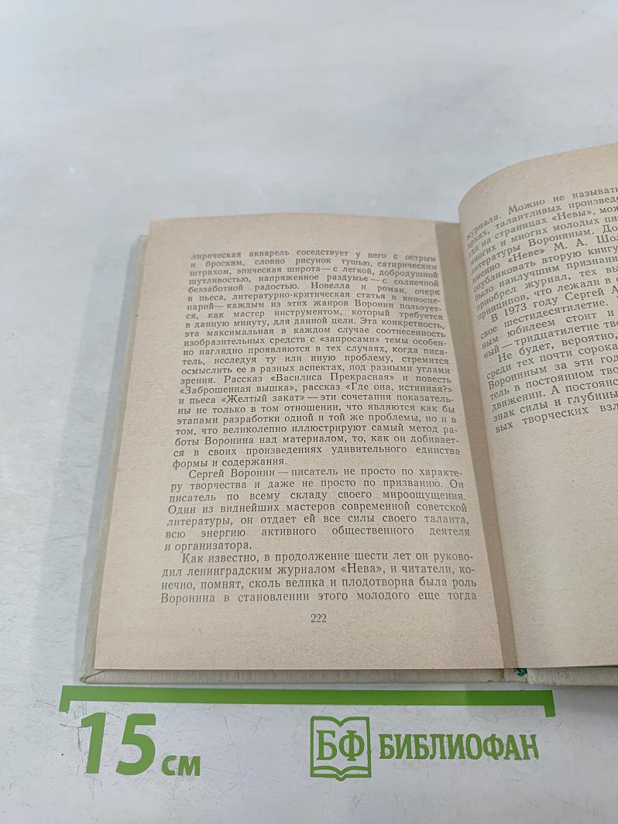 Сергей Воронин: критико-биографический очерк
