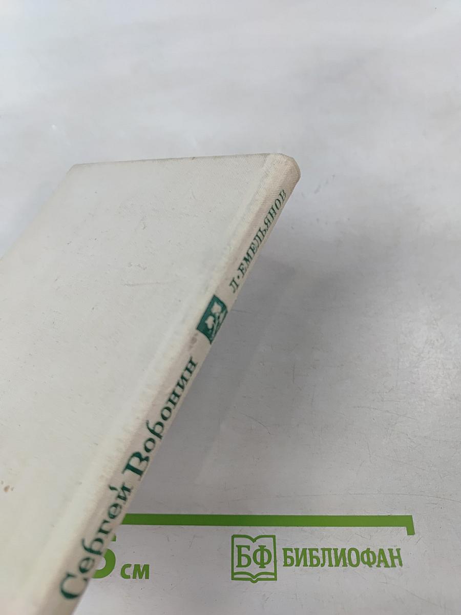 Сергей Воронин: критико-биографический очерк