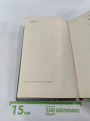 Пограничный дозор