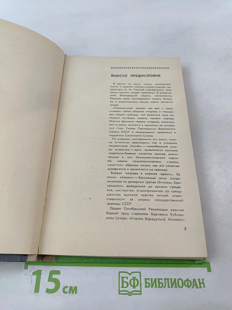 Пограничный дозор