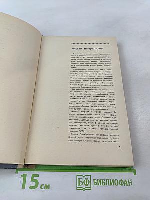 Пограничный дозор