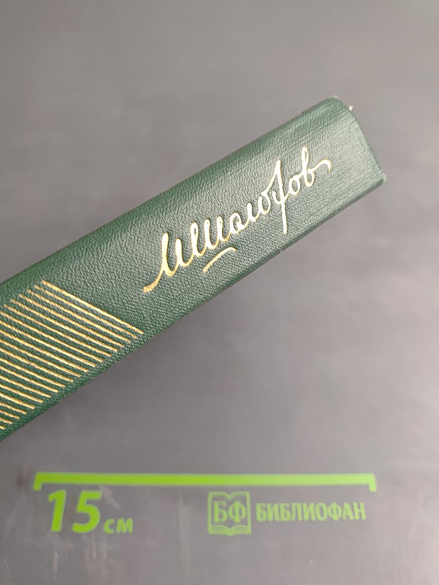 Собрание сочинений. Том пятый. Тихий Дон. Книга четвертая