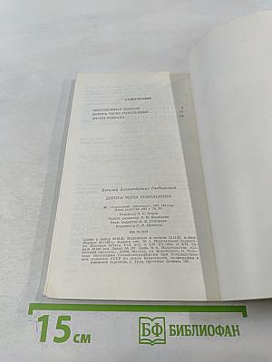 Дорога через Сокольники