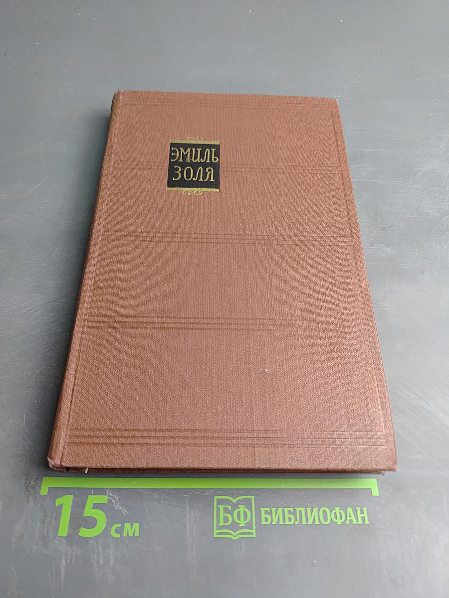 Его превосходительство Эжен Ругон. Том 5