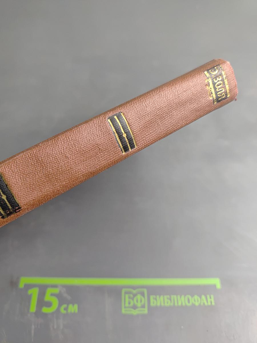 Его превосходительство Эжен Ругон. Том 5