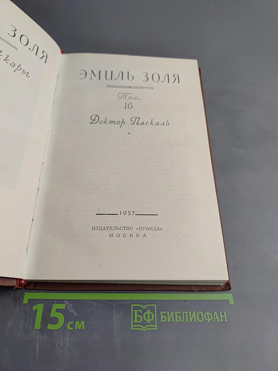 Доктор Паскаль. Том 16