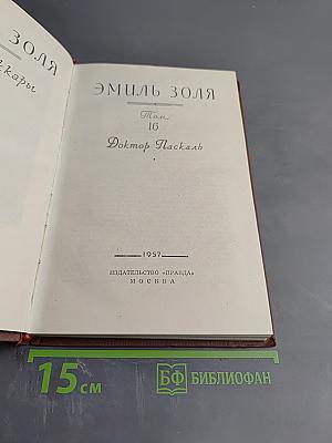 Доктор Паскаль. Том 16