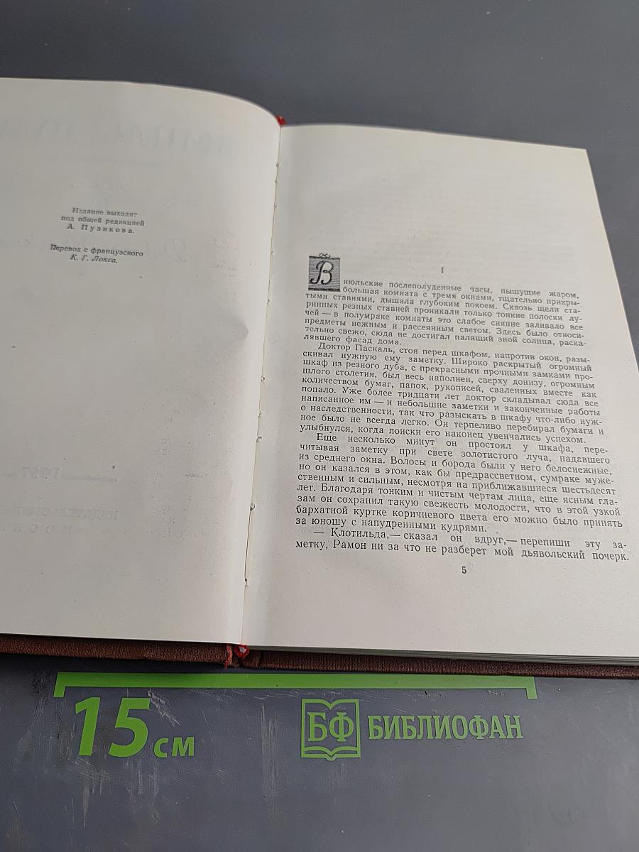 Доктор Паскаль. Том 16