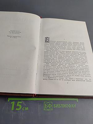 Доктор Паскаль. Том 16