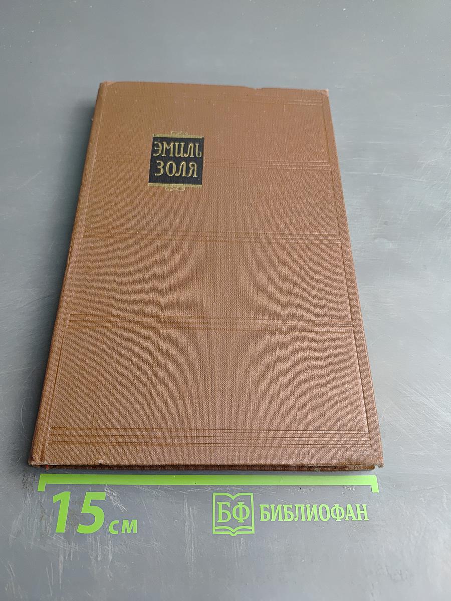 Доктор Паскаль. Том 16