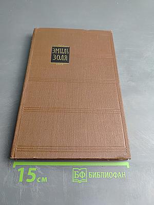 Доктор Паскаль. Том 16