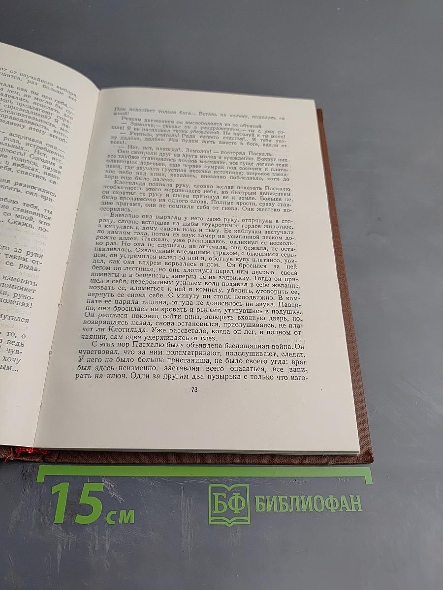 Доктор Паскаль. Том 16