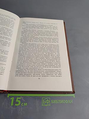 Доктор Паскаль. Том 16