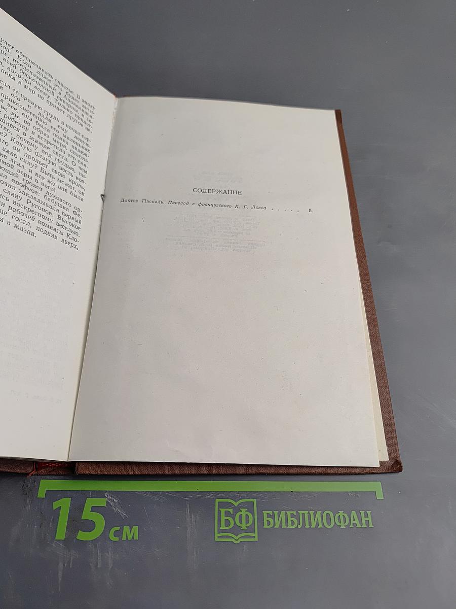 Доктор Паскаль. Том 16